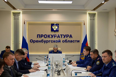 В Оренбурге обсудили дополнительные меры  по отлову бродячих собак